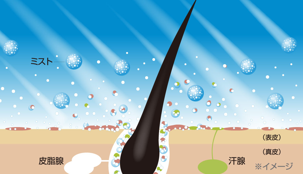 手に潤いを